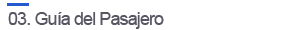 Gu&iacute;a del pasajero